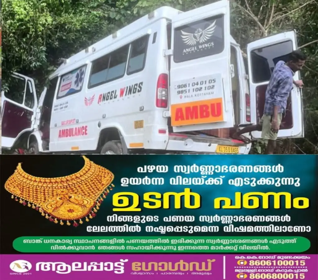 ead197c5-c02d-4802-9574-69afe60060ad-1