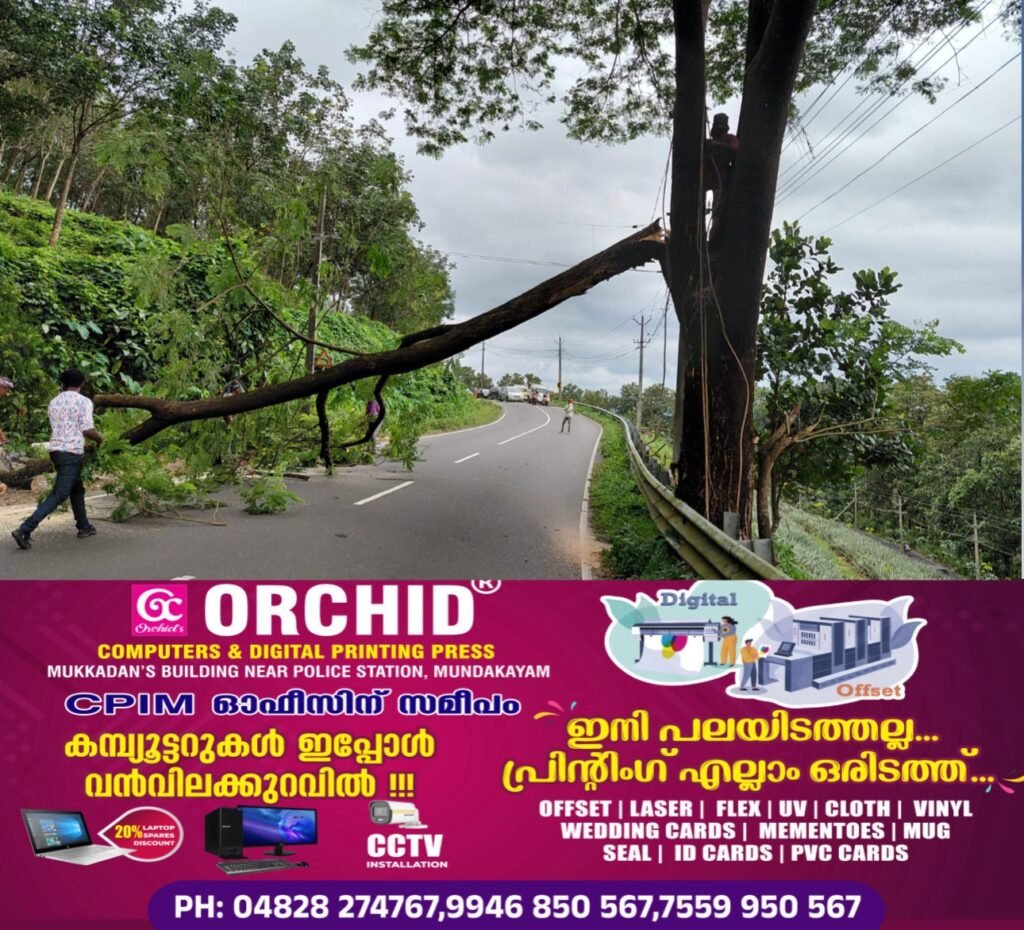 11ea5fc0-72eb-433e-b893-097730524c19