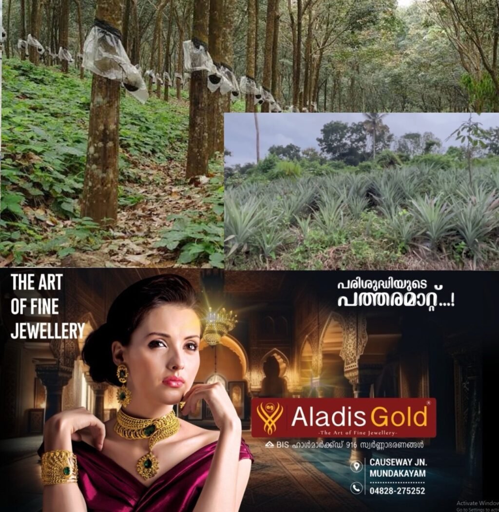 a64e02d6-92d6-4264-9251-758ded2e85ee