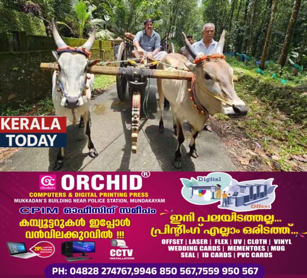 c074450f-d673-4ab1-bbf3-08c99f8a7e4b