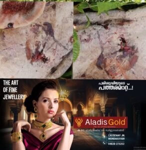 f80a1924-64dc-44da-afe6-a265b24d84e3