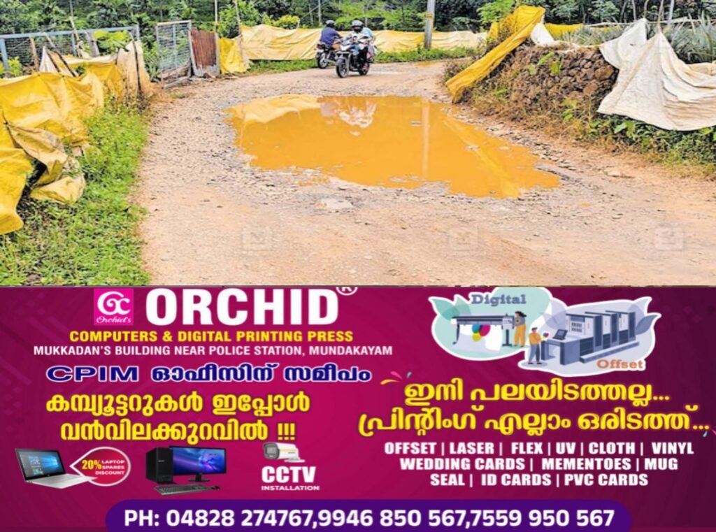 11830f95-f385-4b6b-8065-e2836884d1cf-1