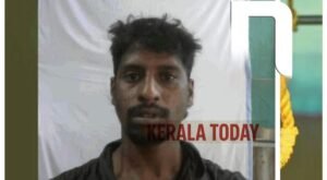 6e8d998a-7218-4c27-aa31-24f2036e642a