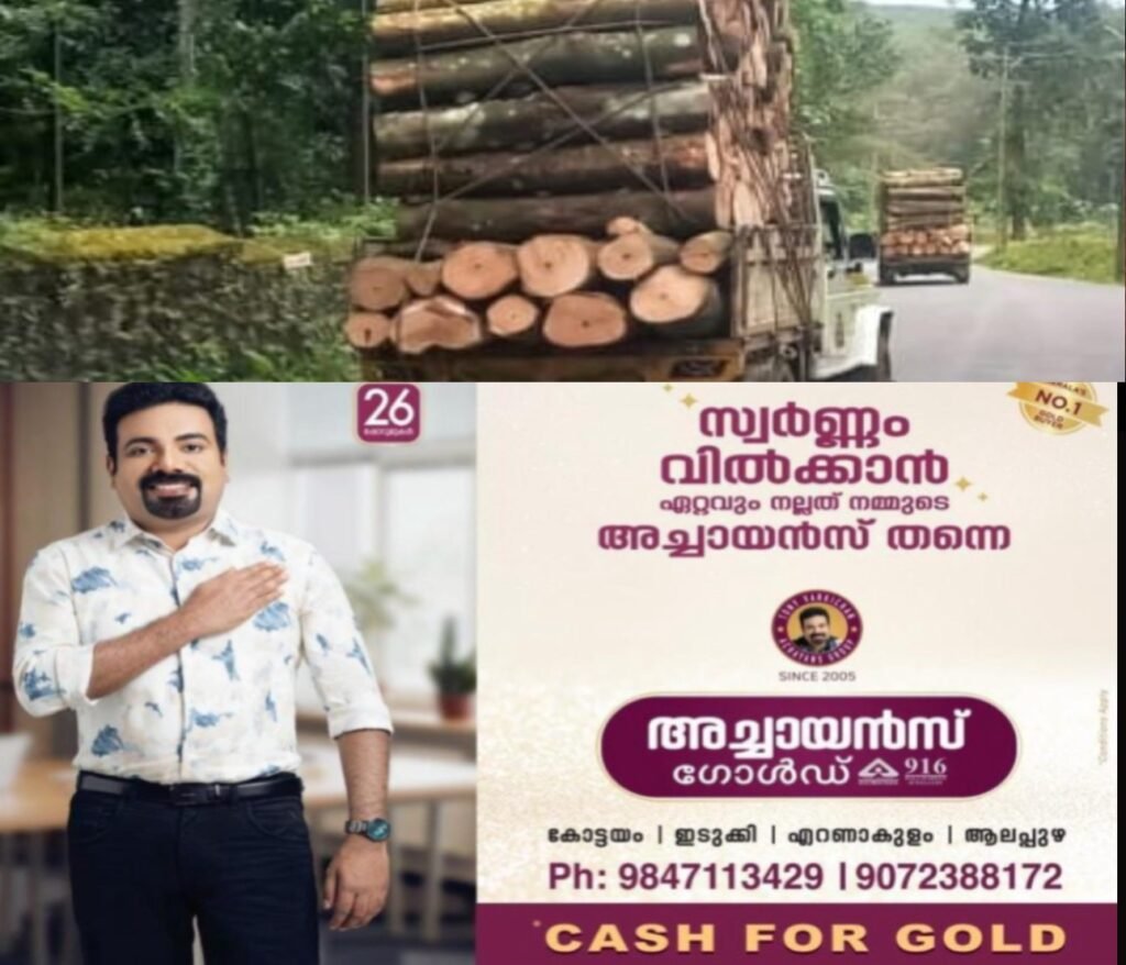 c1332e49-82cf-4abe-a6e3-797956627391