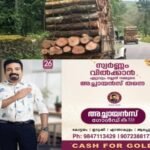 c1332e49-82cf-4abe-a6e3-797956627391