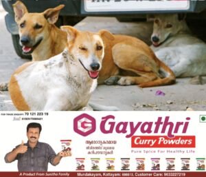 66607db1-d4ed-48b1-88ec-72fd44ac2fcb