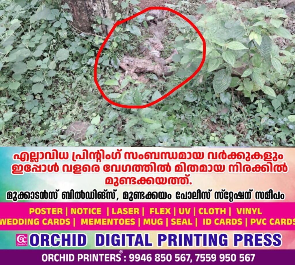 2a529fad-7de0-4ab7-9503-30b1e7435815