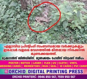 2a529fad-7de0-4ab7-9503-30b1e7435815