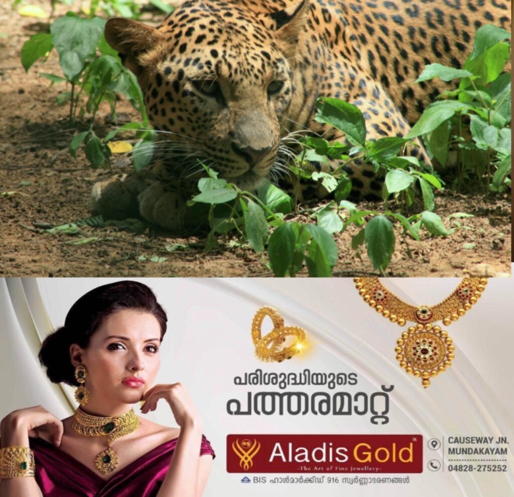 6111653c-81cd-4f17-90e0-9a0879aabd13