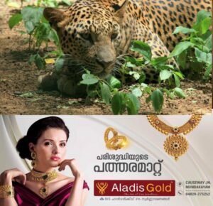 6111653c-81cd-4f17-90e0-9a0879aabd13