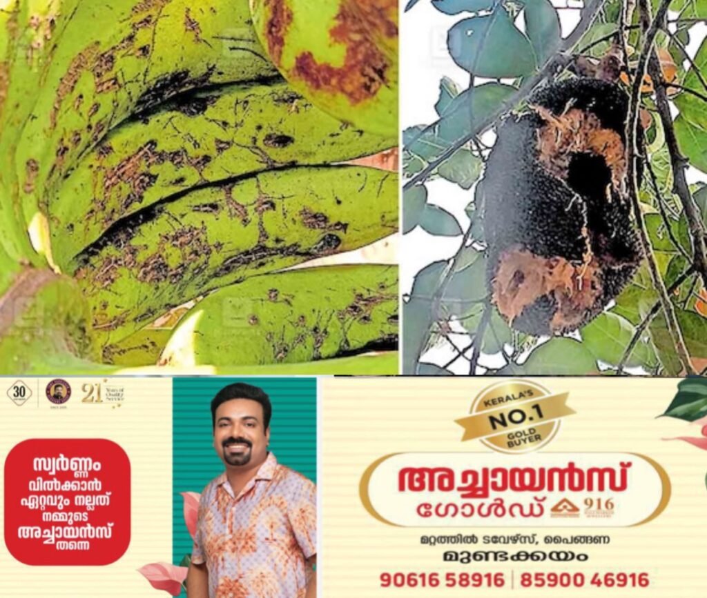 5a045987-2c23-4f11-bc94-7ea4a39dd3cd