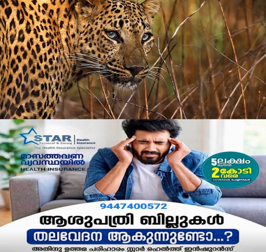 a16edfa3-028f-47cc-bd75-a2abdc8ef960