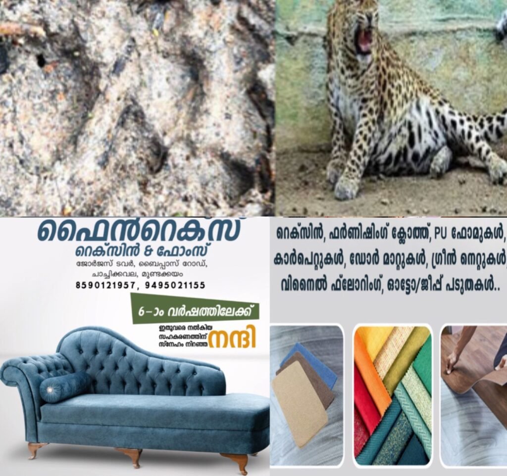 0675a401-f3cc-4078-ac12-d86b90f37aed