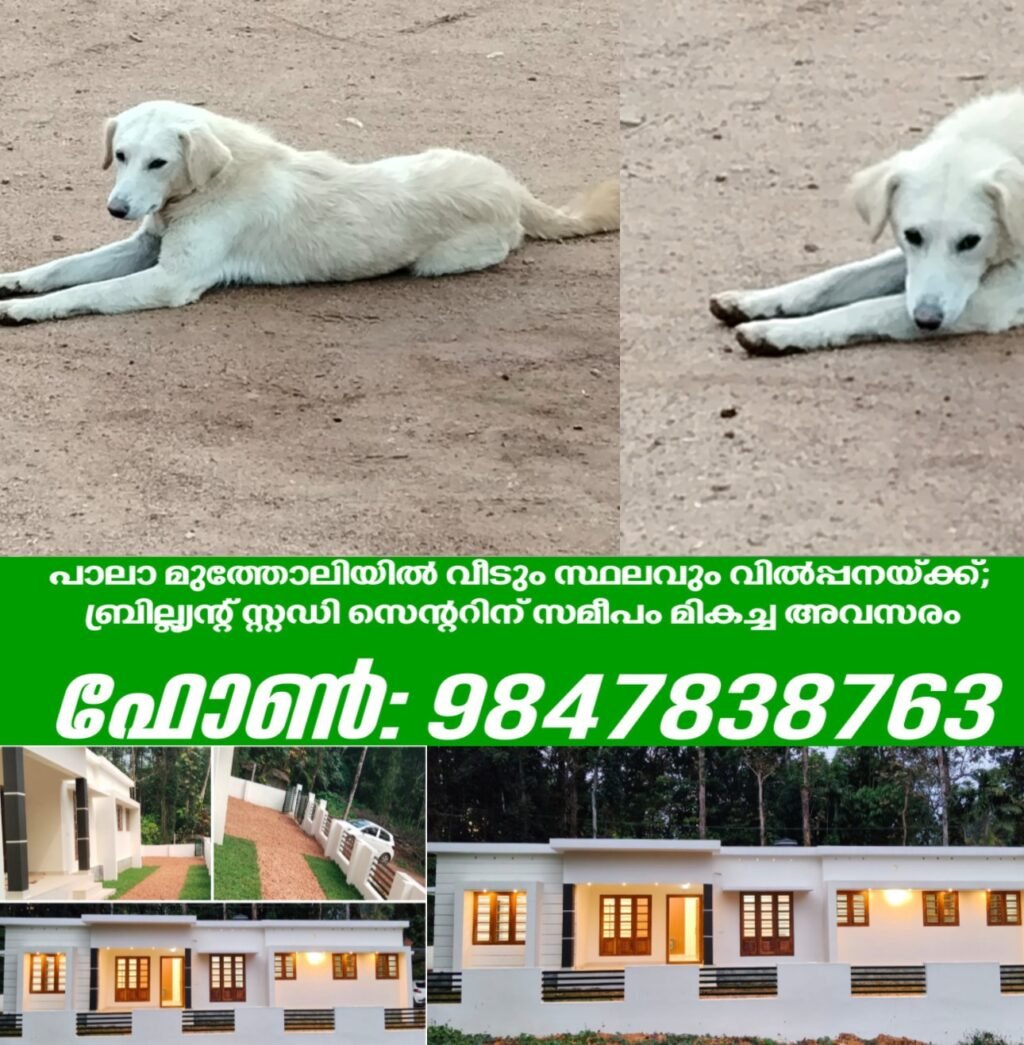 6708b770-d76b-48f2-b7a4-e2ad3eaa6f84