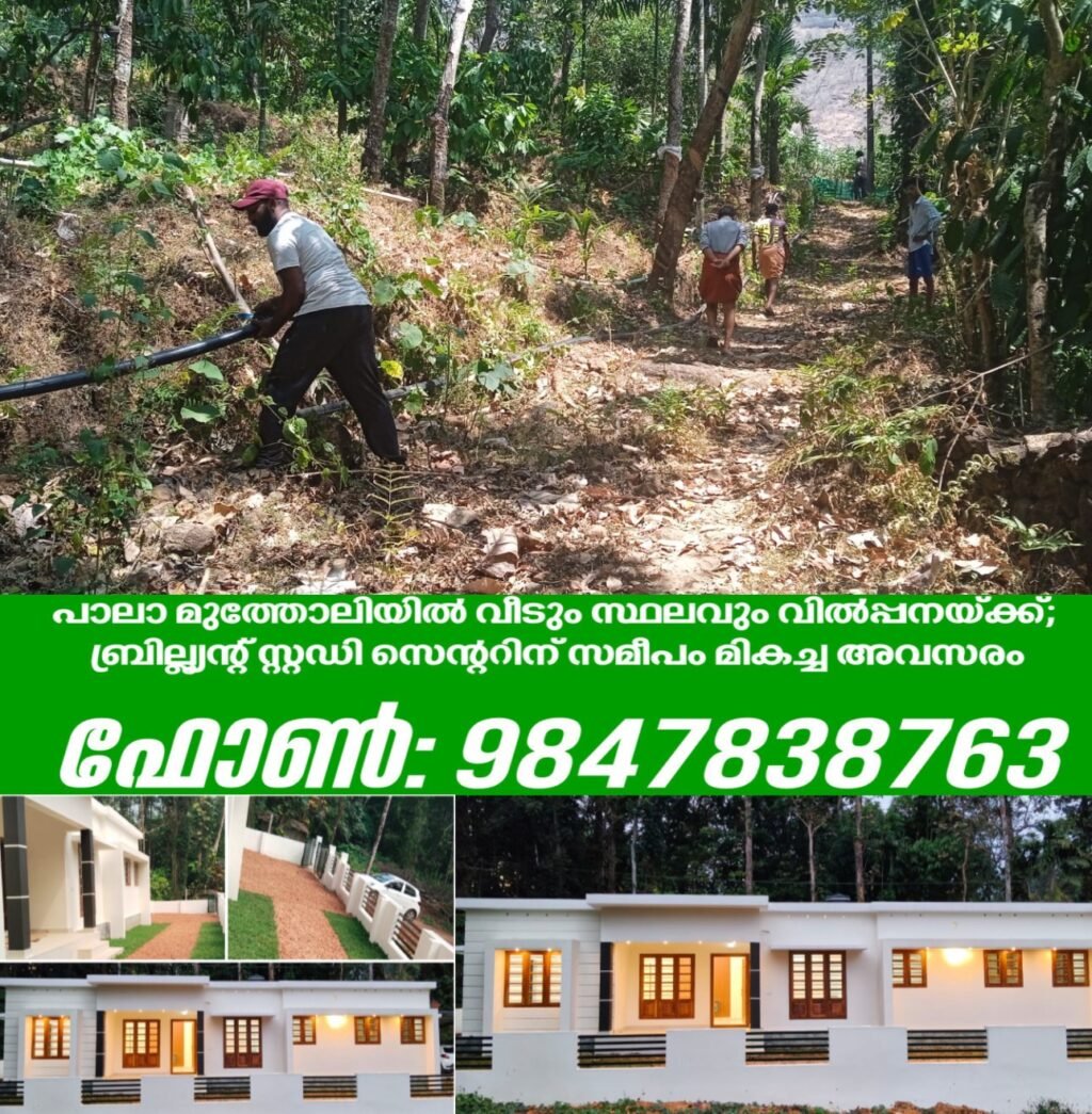 6b991b0b-c0fc-437b-86c4-e9305856a8ad