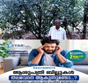 73ed2035-676d-4d2d-a77a-22deb7a4045b