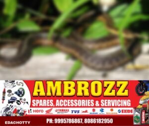 d4af638a-d693-47d9-9aae-8d59091b16e2