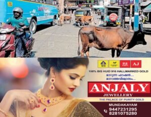 dfea24a7-d574-4f01-bb1b-b879fb6d8aba