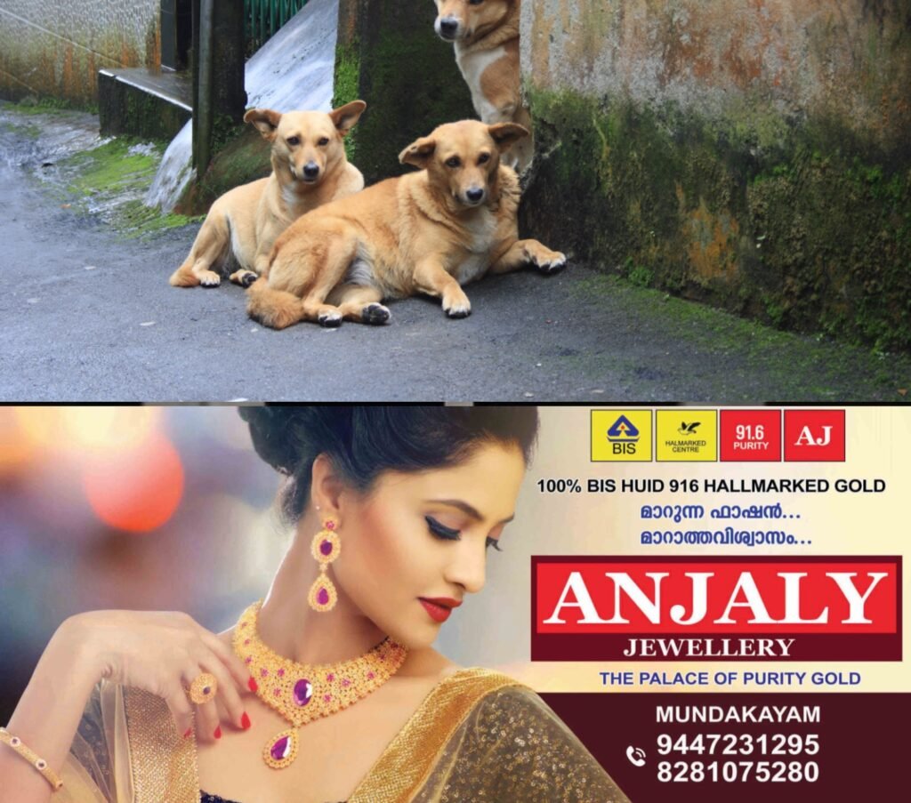 32805d77-698f-4b52-a2bd-5a56616c10c8