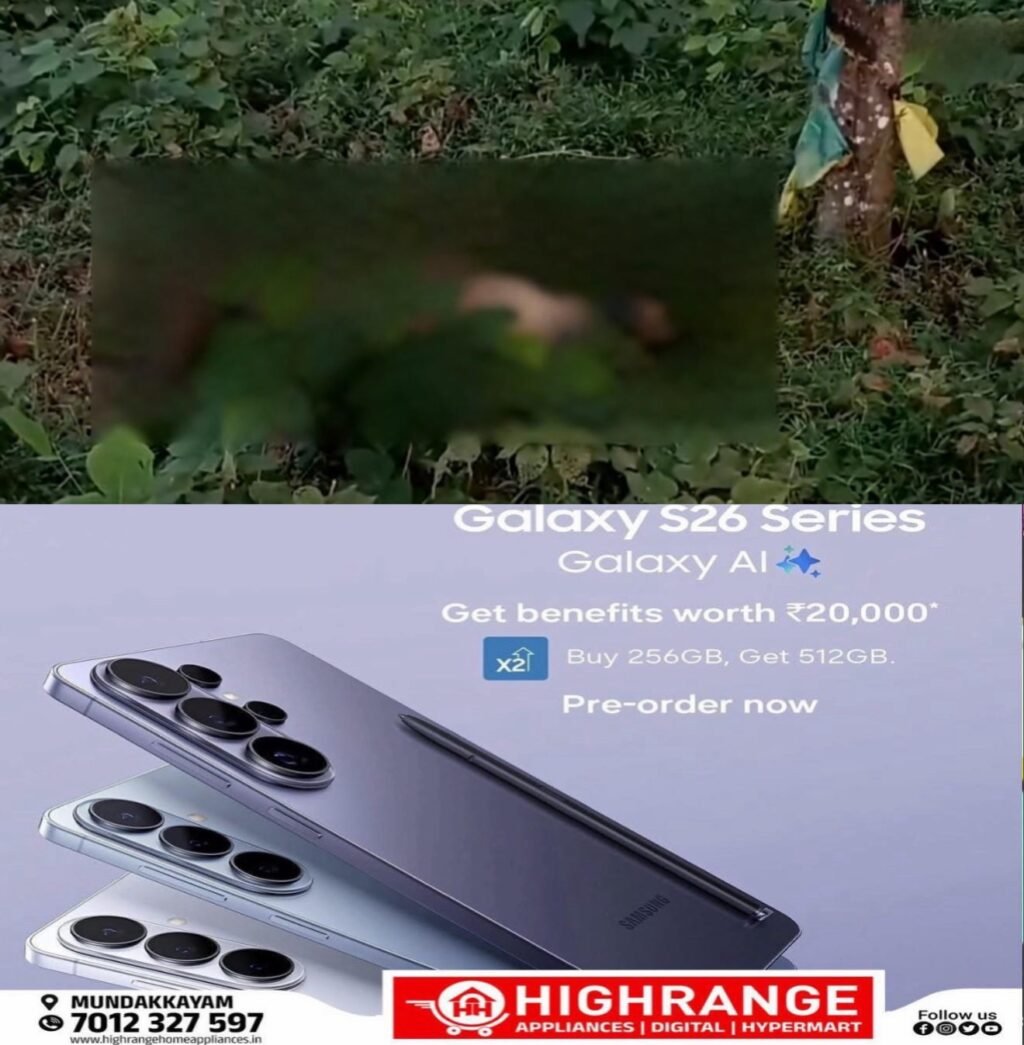 55b56e3f-55e4-4a47-bd3a-a14d307fc794