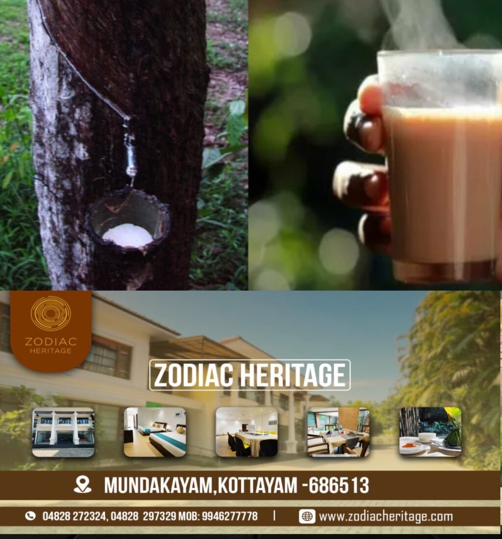 61b64f15-c9d3-4fa3-9d62-a0bf0f9dccee