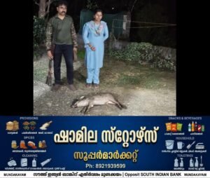 8953bca7-3f1f-48cc-8a60-e442a5d59b07