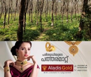 e527ce2e-a0e0-4313-8e30-de209c28ac76-1