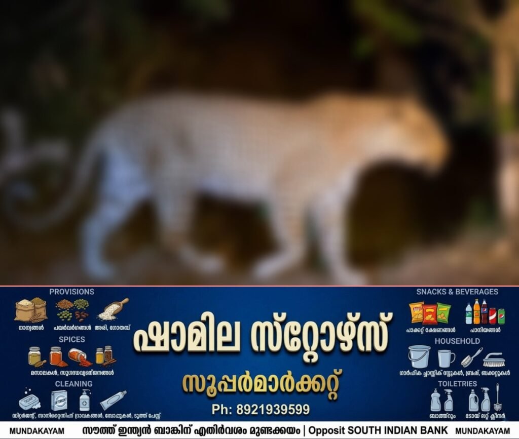 ef8b007e-05c8-4f13-aa9f-02e068e8e374