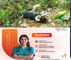 f6333eec-3caf-4027-b1b7-0b3acdf66084