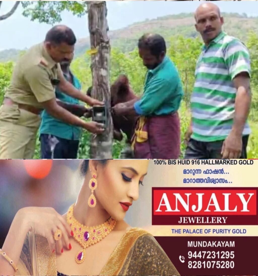 6bacc449-3c9c-4582-818d-8eae2ee85359