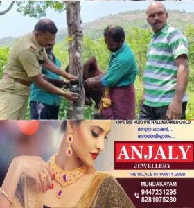 6bacc449-3c9c-4582-818d-8eae2ee85359