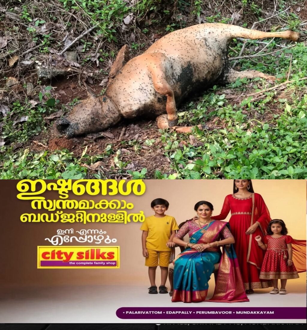 bcc7a701-8971-480b-9a78-5689782d5ea6